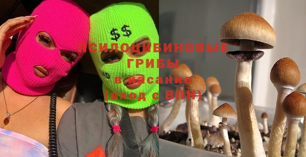 дмт Волоколамск