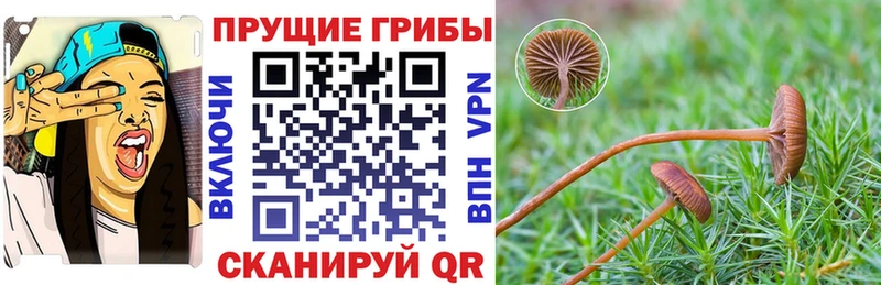 Галлюциногенные грибы Psilocybe магазин продажи наркотиков Плавск