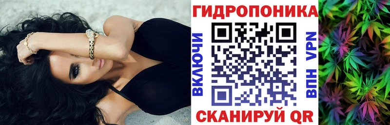 Шишки марихуана марихуана  магазин  наркотиков  Плавск 